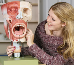 Naso-pharynx model MN1 in use in a Clinical Skills Lab